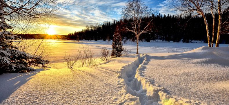 Capturing the Enchantment of the Frozen Landscape