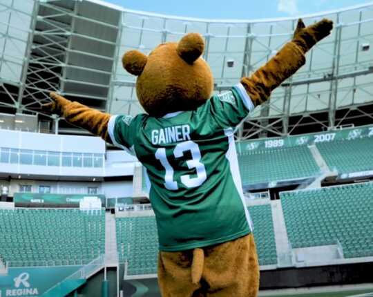 Gainer in the stadium