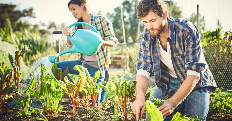 friends gardening on organic farm