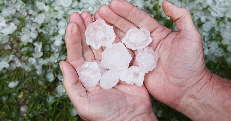 hail in hands after hailstorm